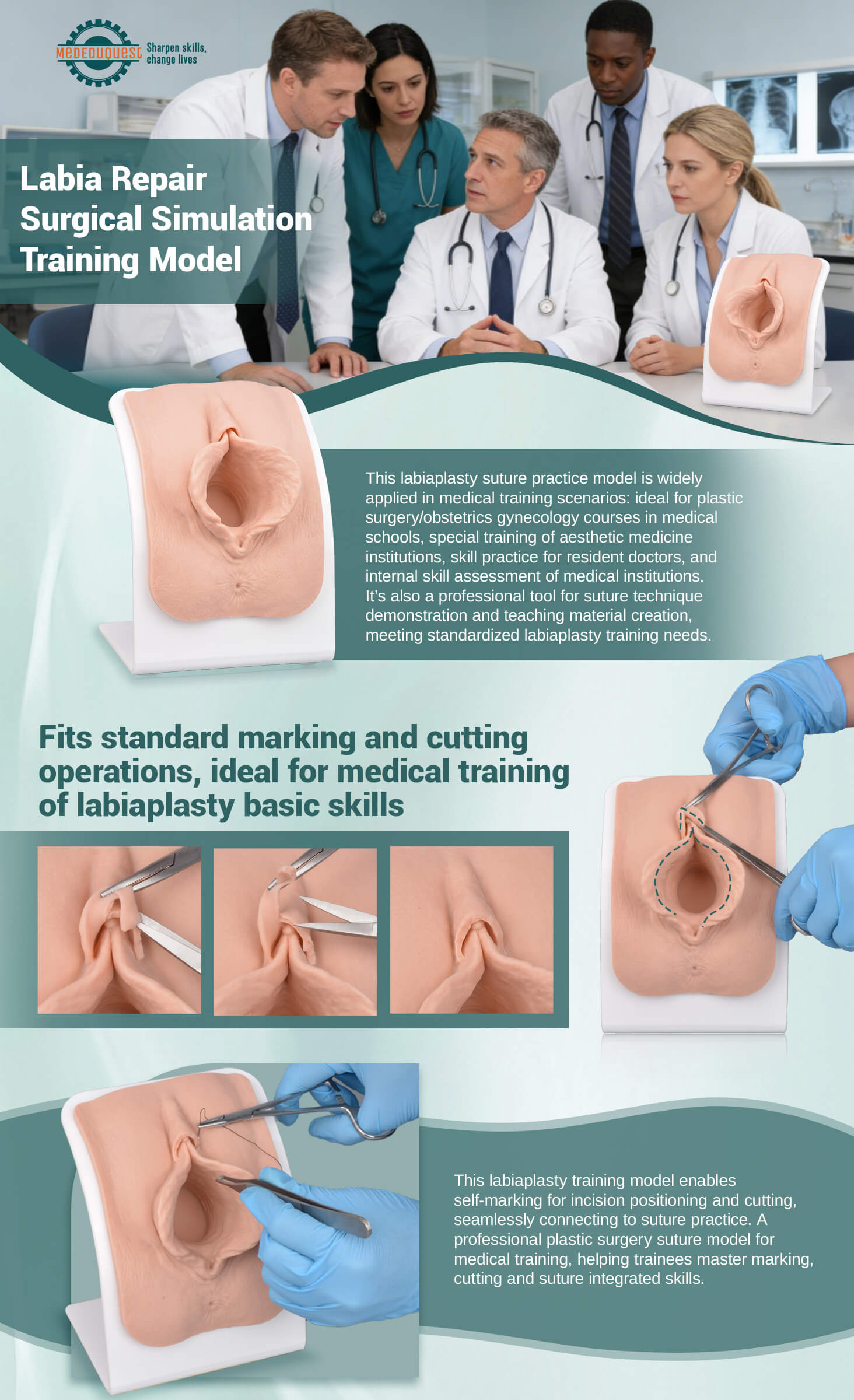 labia repair model for aesthetic gynecology surgical training