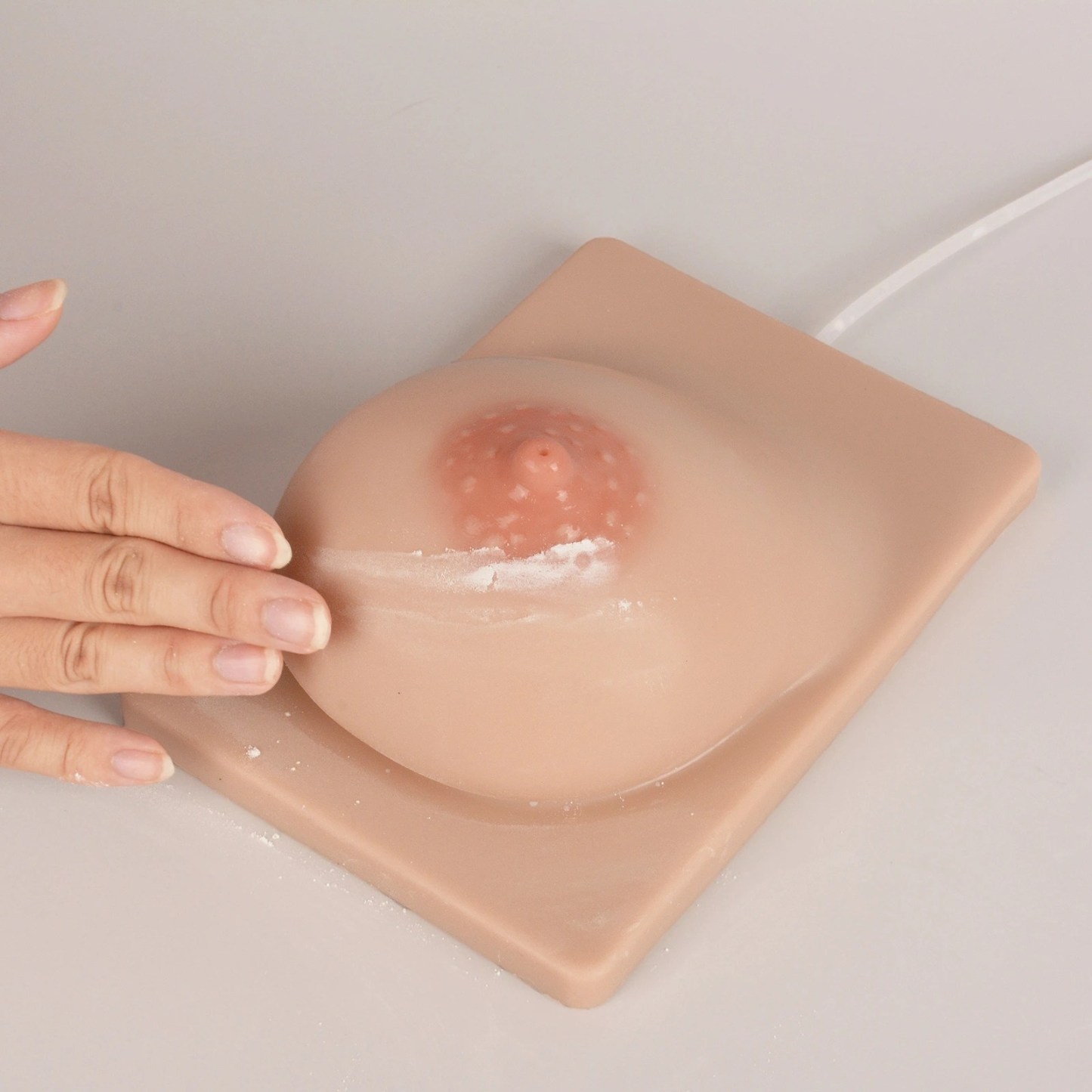 Lactation Breast Model with Milk Expression Function