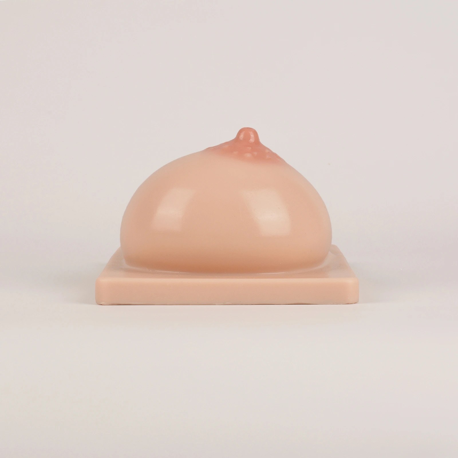 Lactation Breast Model with Milk Expression Function