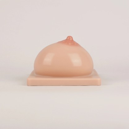 Lactation Breast Model with Milk Expression Function