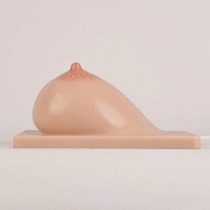 Lactation Breast Model with Milk Expression Function