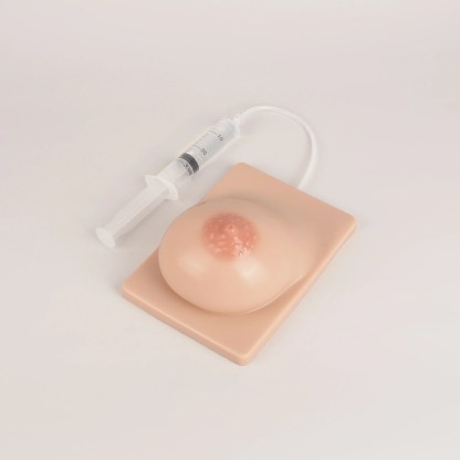 Lactation Breast Model with Milk Expression Function
