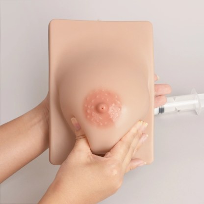 Lactation Breast Model with Milk Expression Function