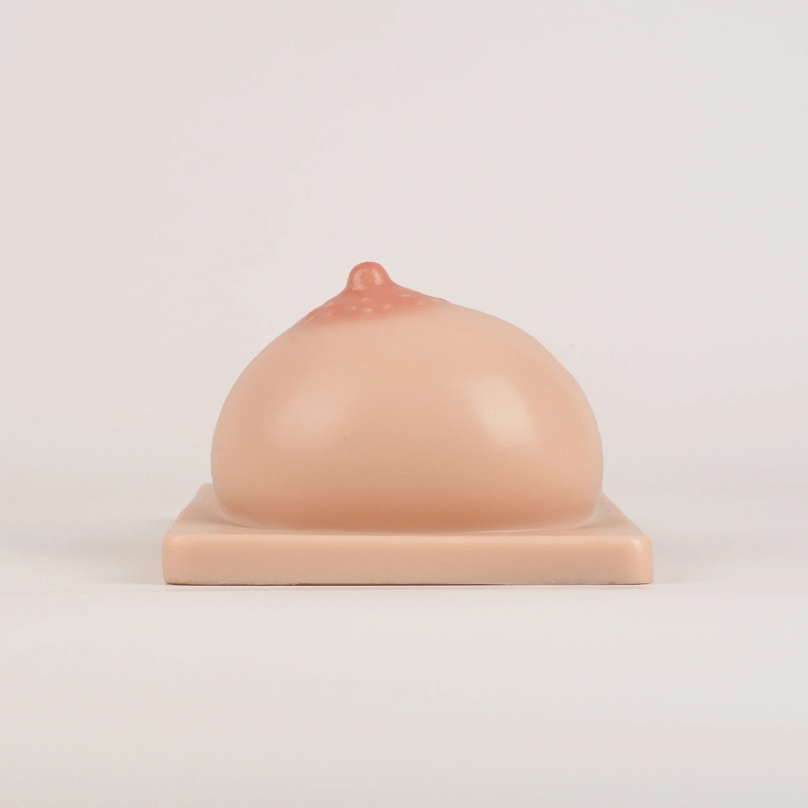 Lactation Breast Model with Milk Expression Function