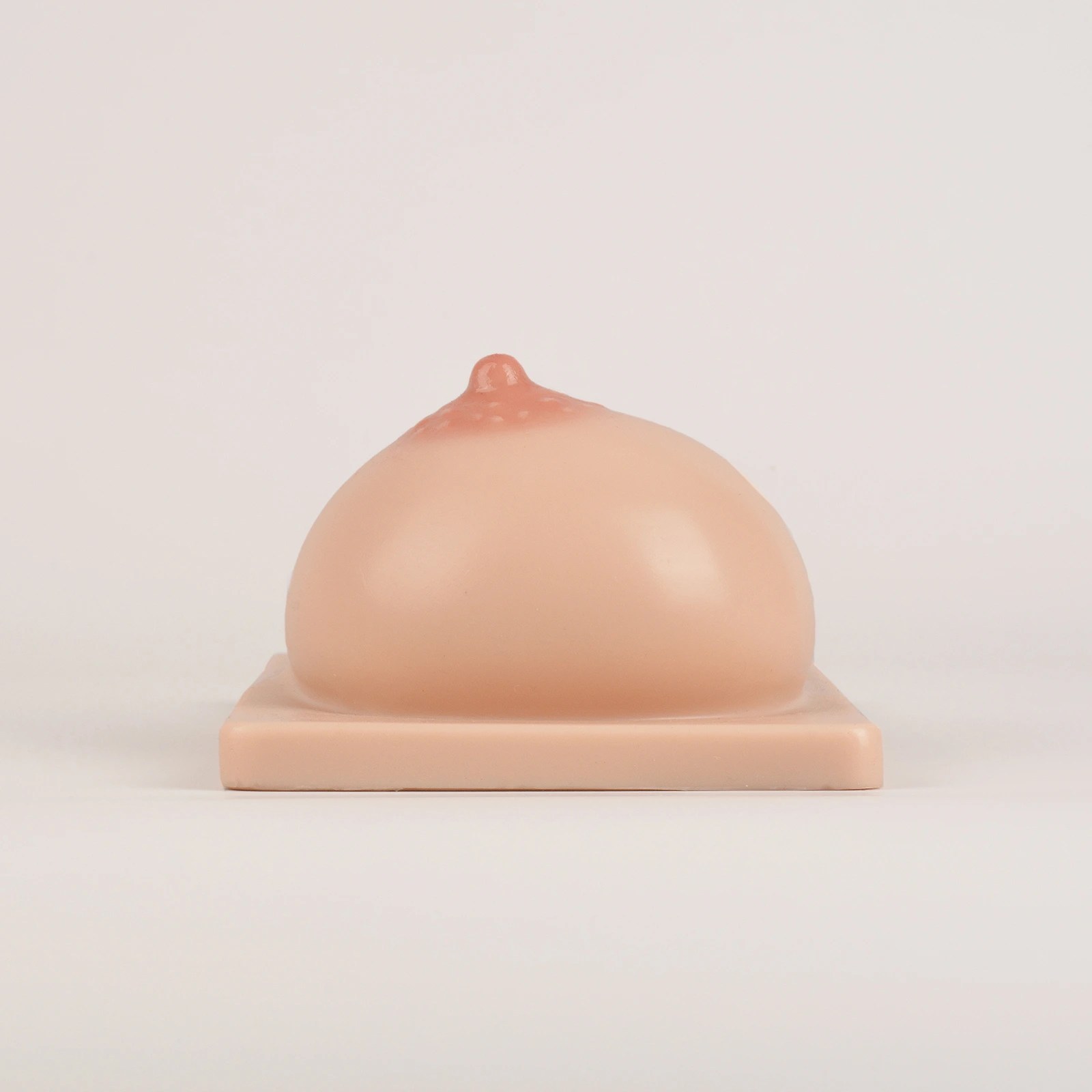 Lactation Breast Model with Milk Expression Function