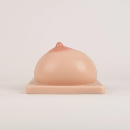 Lactation Breast Model with Milk Expression Function