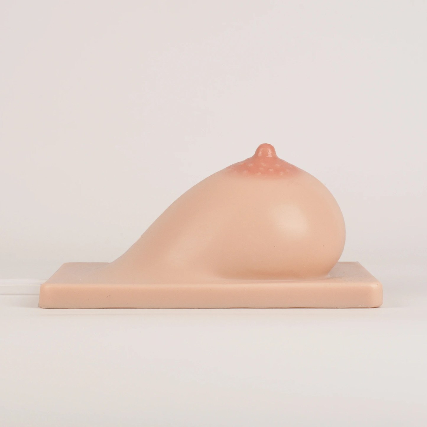 Lactation Breast Model with Milk Expression Function