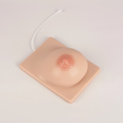 Lactation Breast Model with Milk Expression Function
