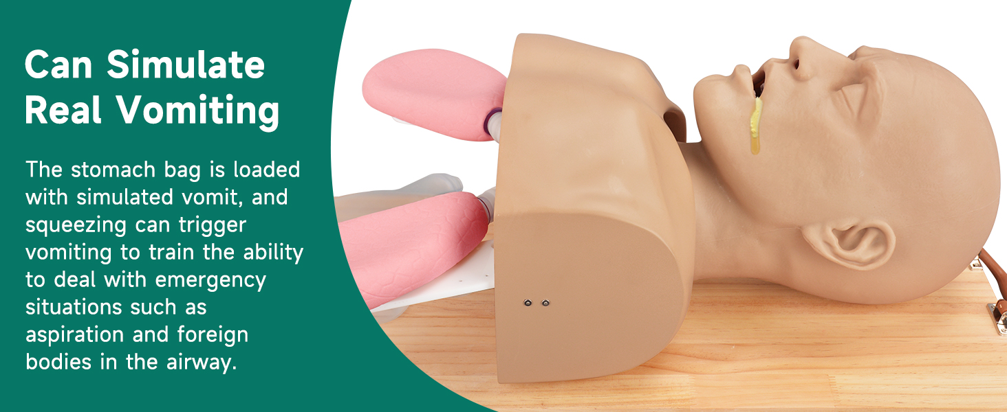 Advanced Adult Intubation Manikin for Real Vomiting Simulation
