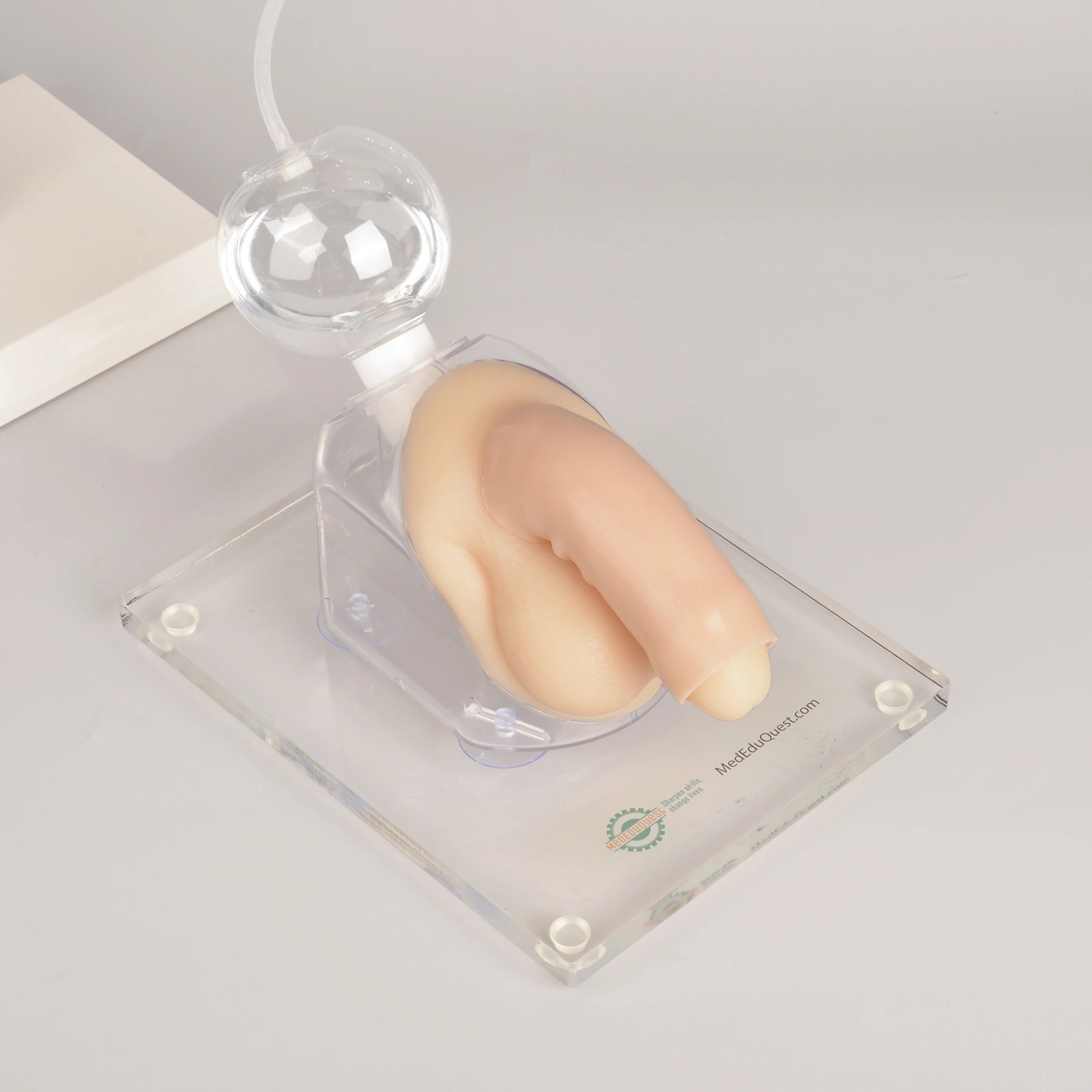 Male Urinary Catheterization Training Kit – MedEduQuest