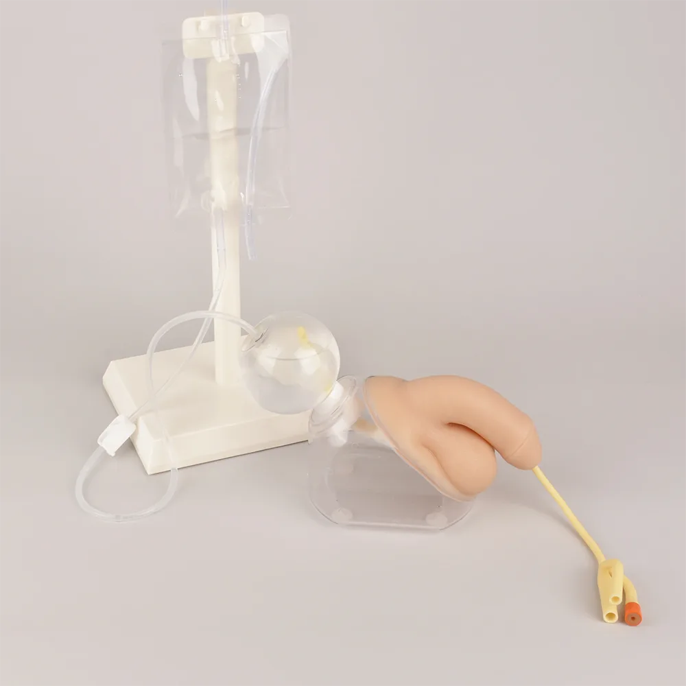 Urinary Catheterization Trainers