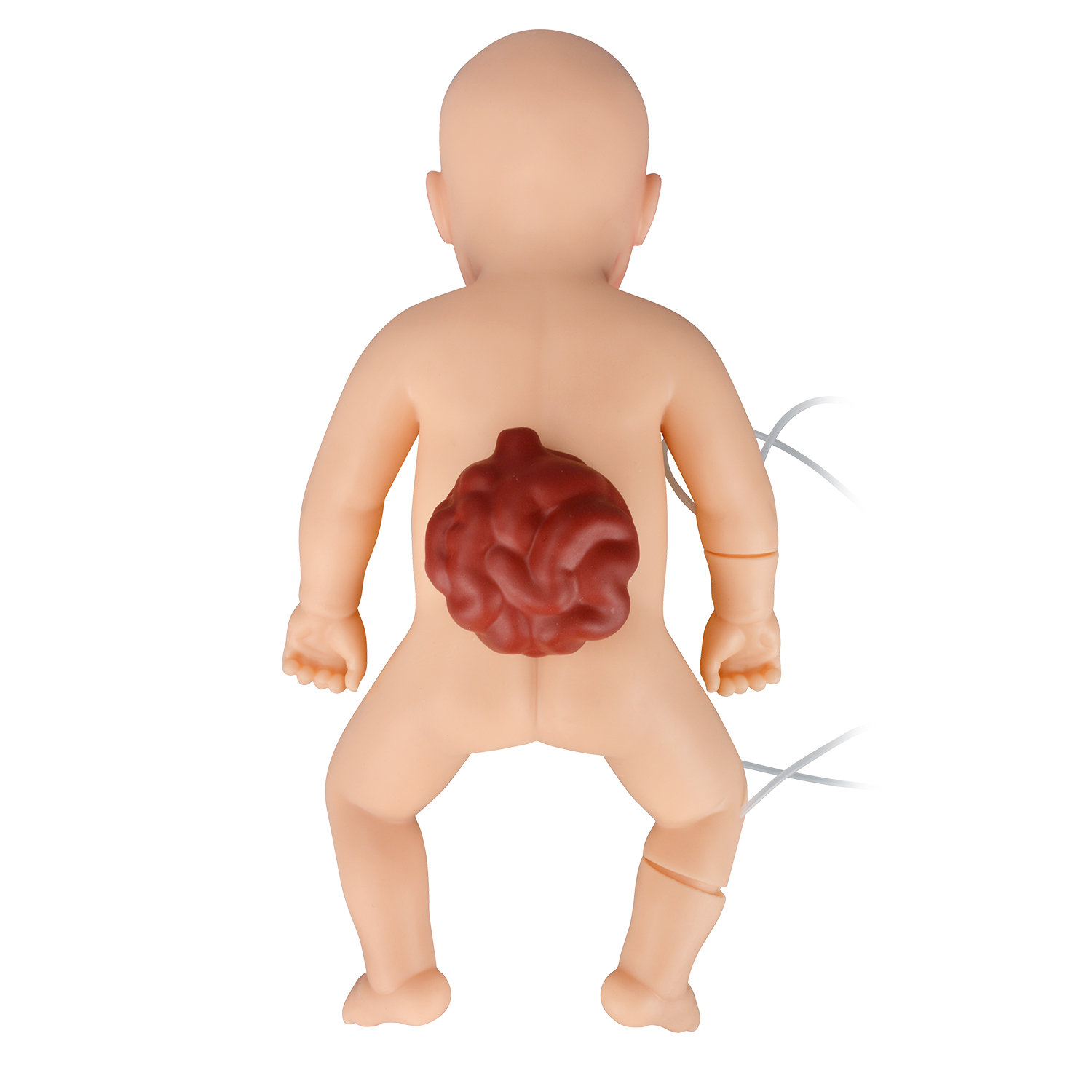 Newborn Nursing & Resuscitation Simulator