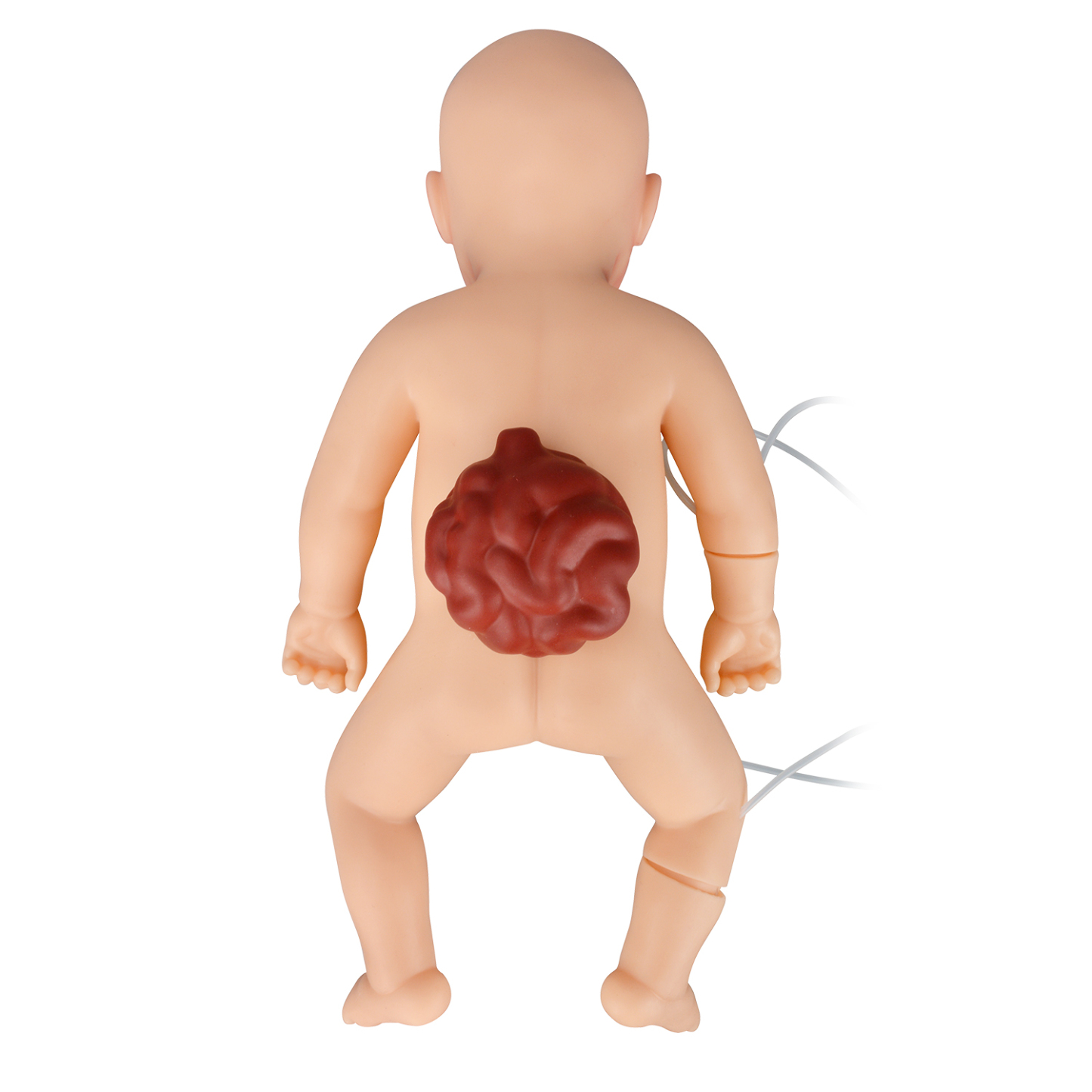 Newborn Nursing & Resuscitation Simulator