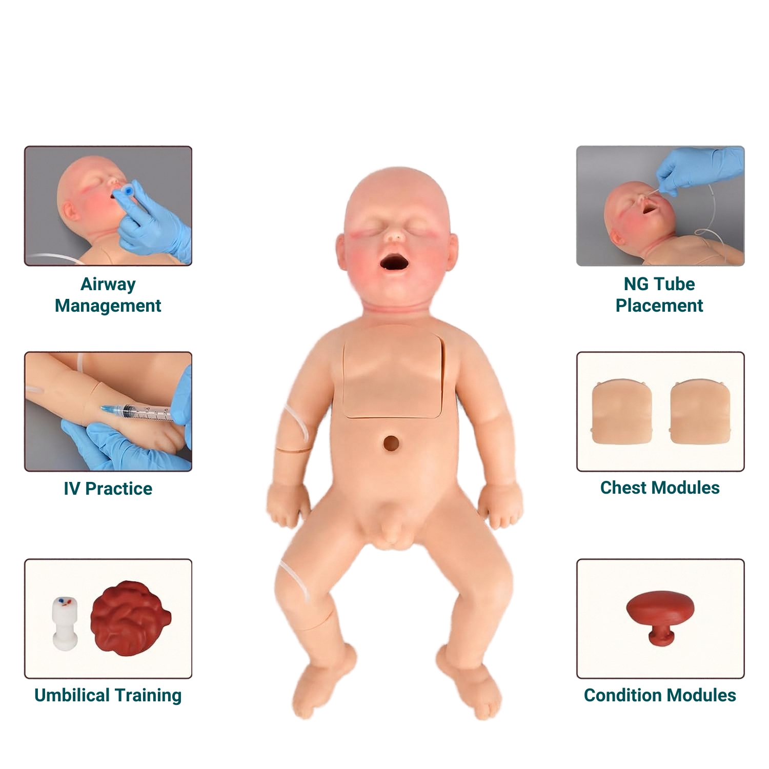 Newborn Nursing & Resuscitation Simulator