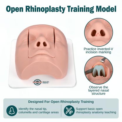 Rhinoplasty Surgical Training Simulator