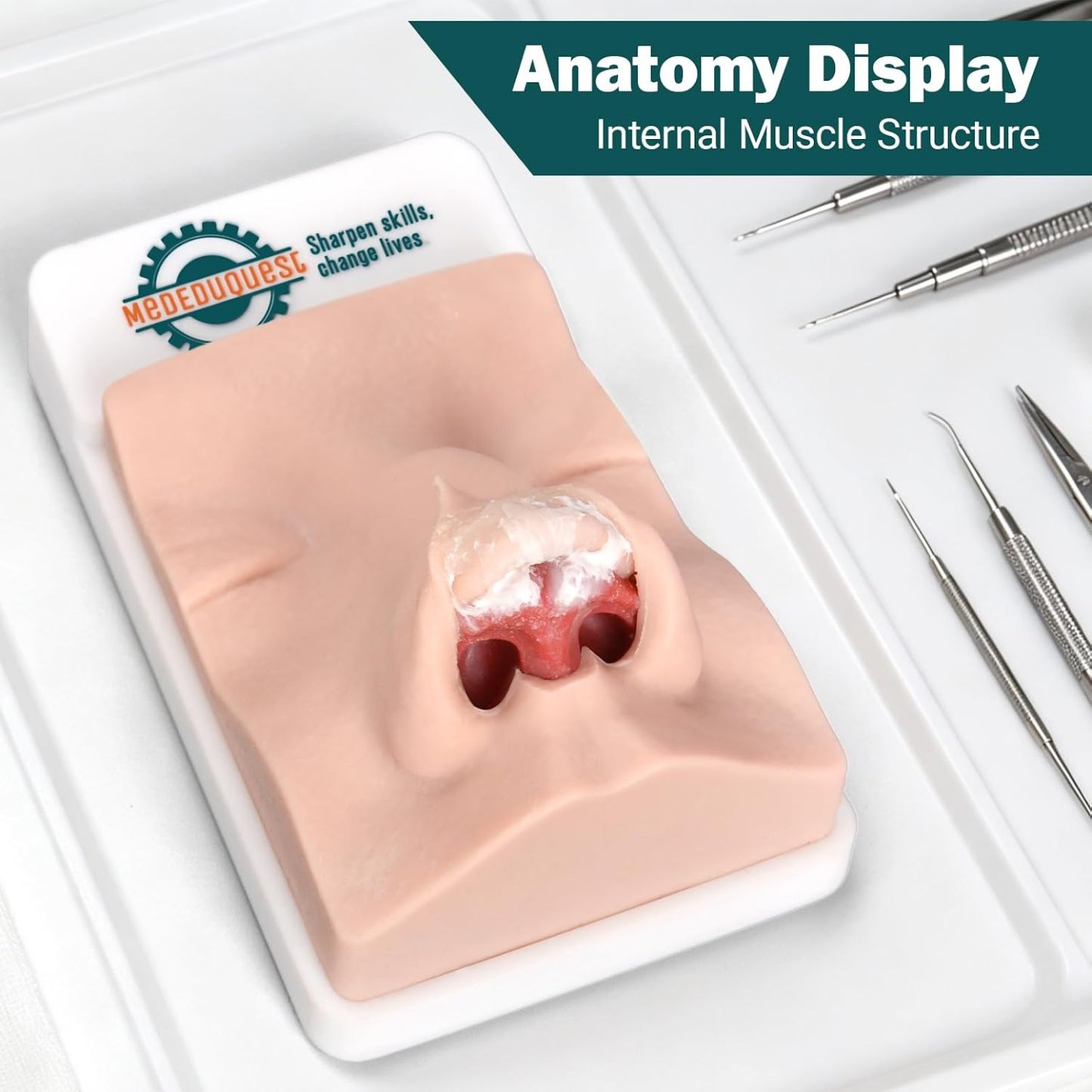 Rhinoplasty Model with Simulated Nasal Muscle Structure