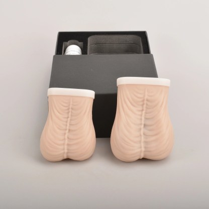 testicular models