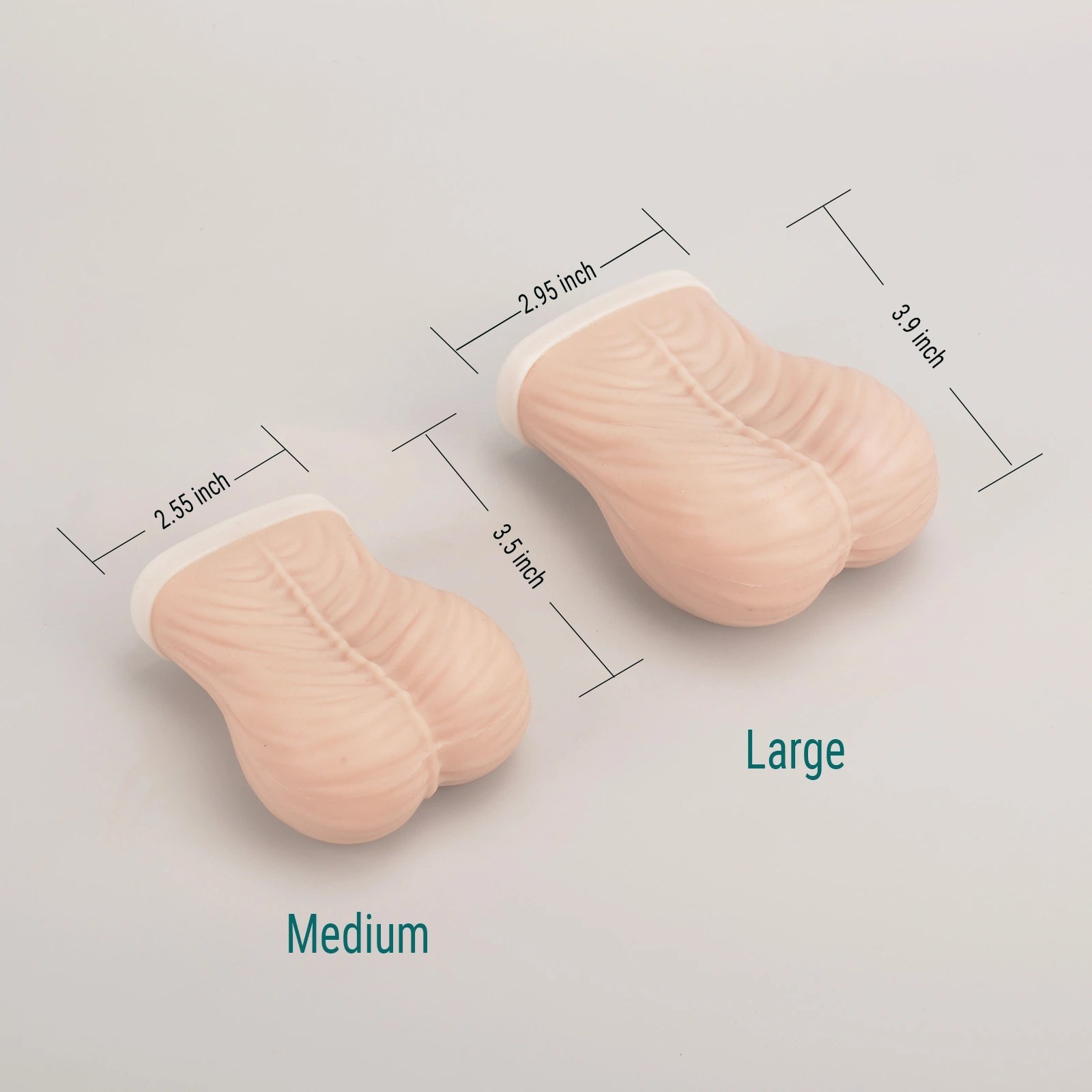 Testicle Self Examination Models size