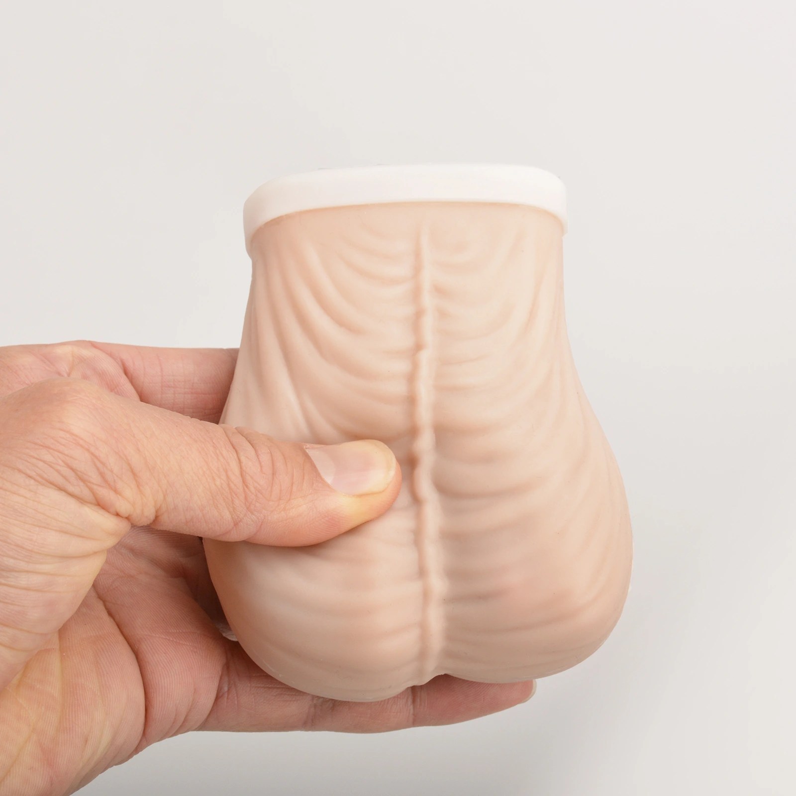 testicular self exam model