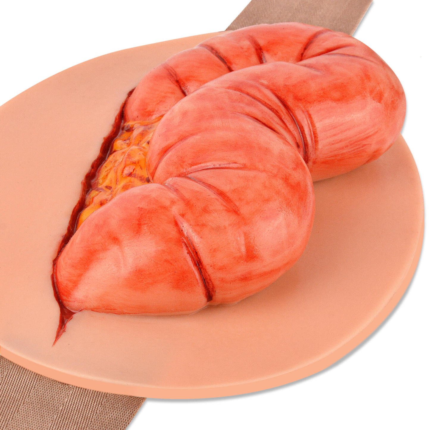 eviscerated colon abdominal wound care simulator