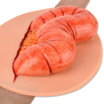 eviscerated colon abdominal wound care simulator