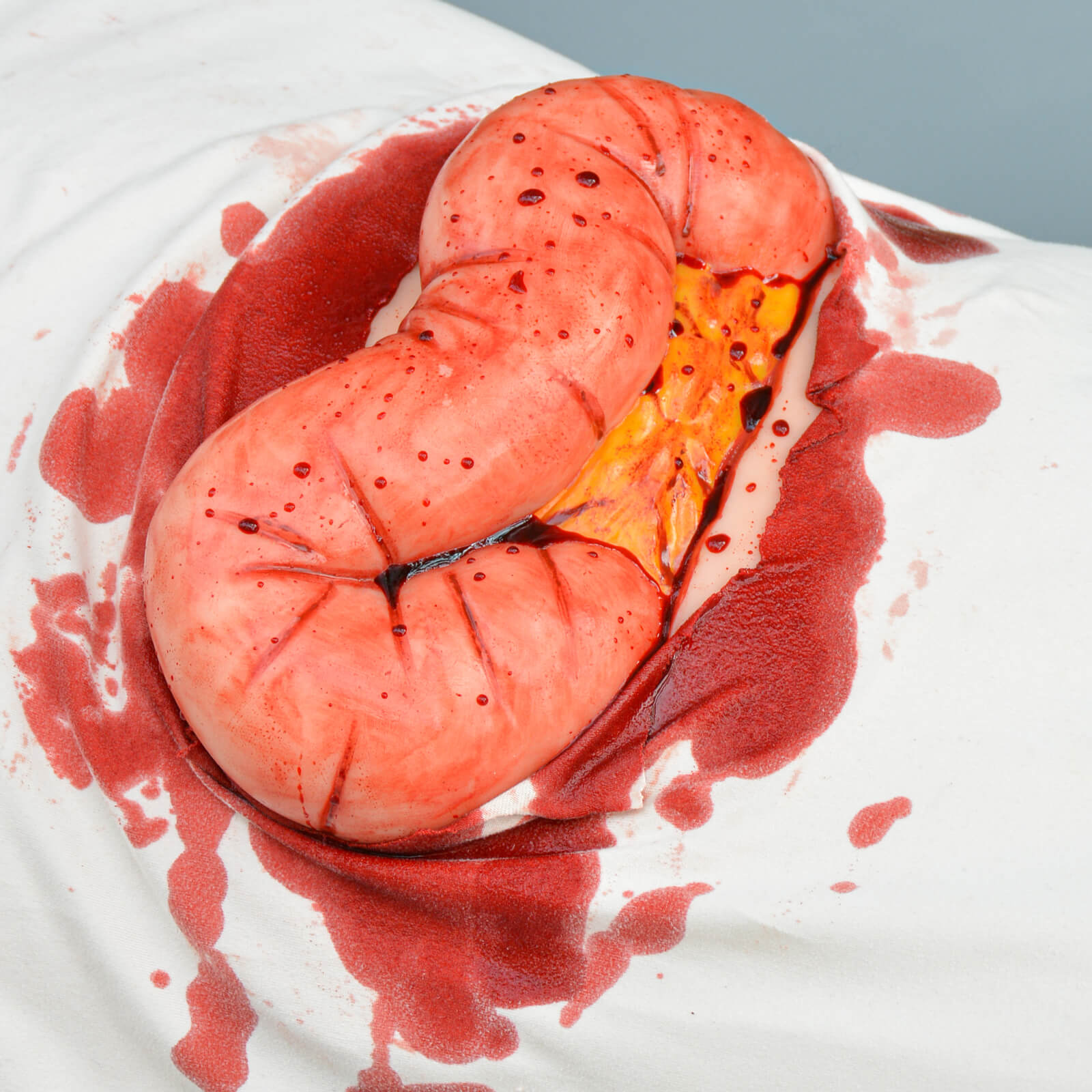 wearable abdominal eviscerated large intestine simulator