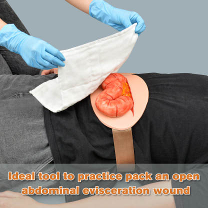 abdominal colon evisceration wound simulator