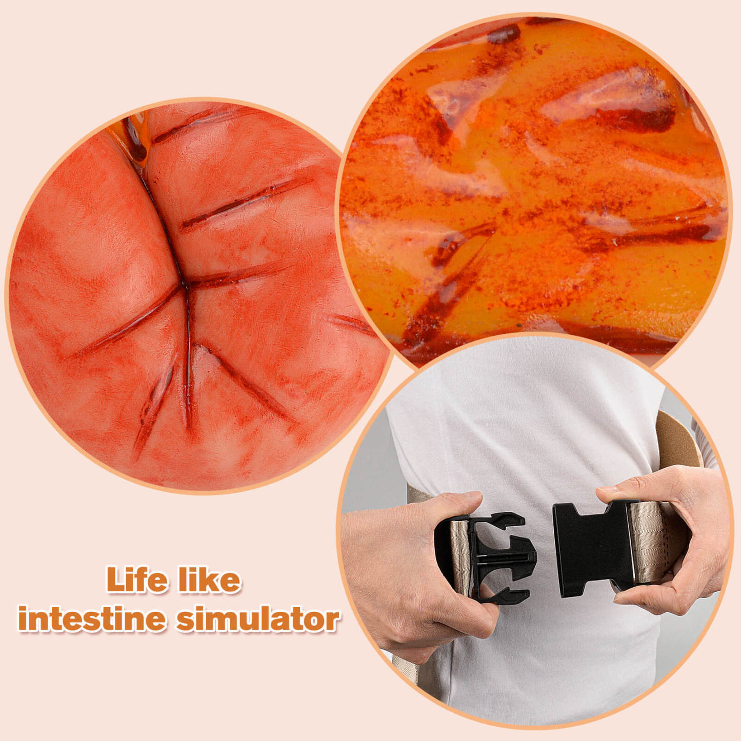 eviscerated large intestine wound care simulator
