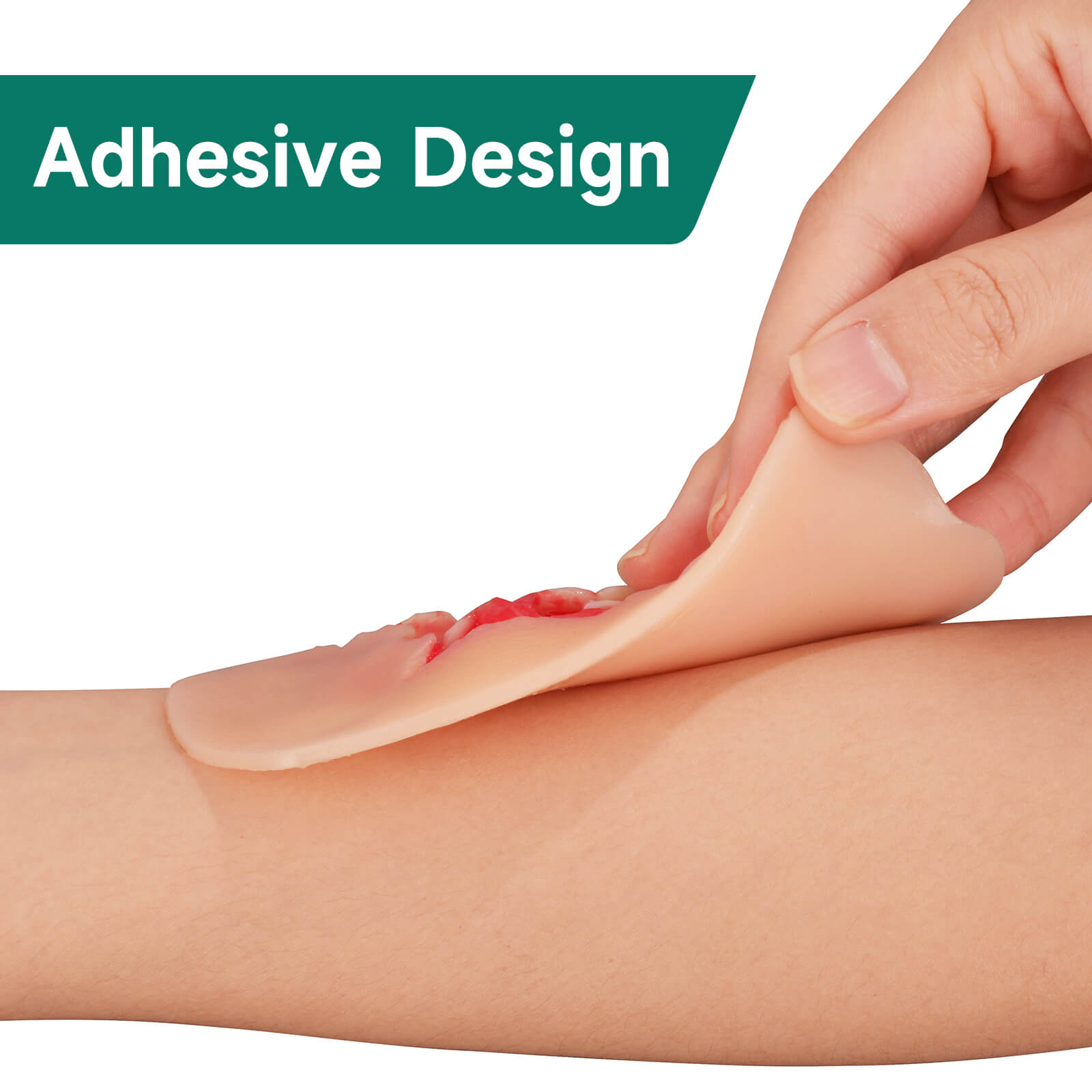 Adhesive Exposed Denture Avulsion Simulator