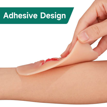 Adhesive Exposed Denture Avulsion Simulator