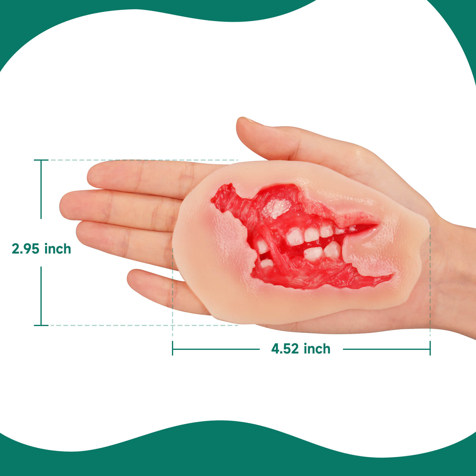 Adhesive Exposed Denture Avulsion Simulator