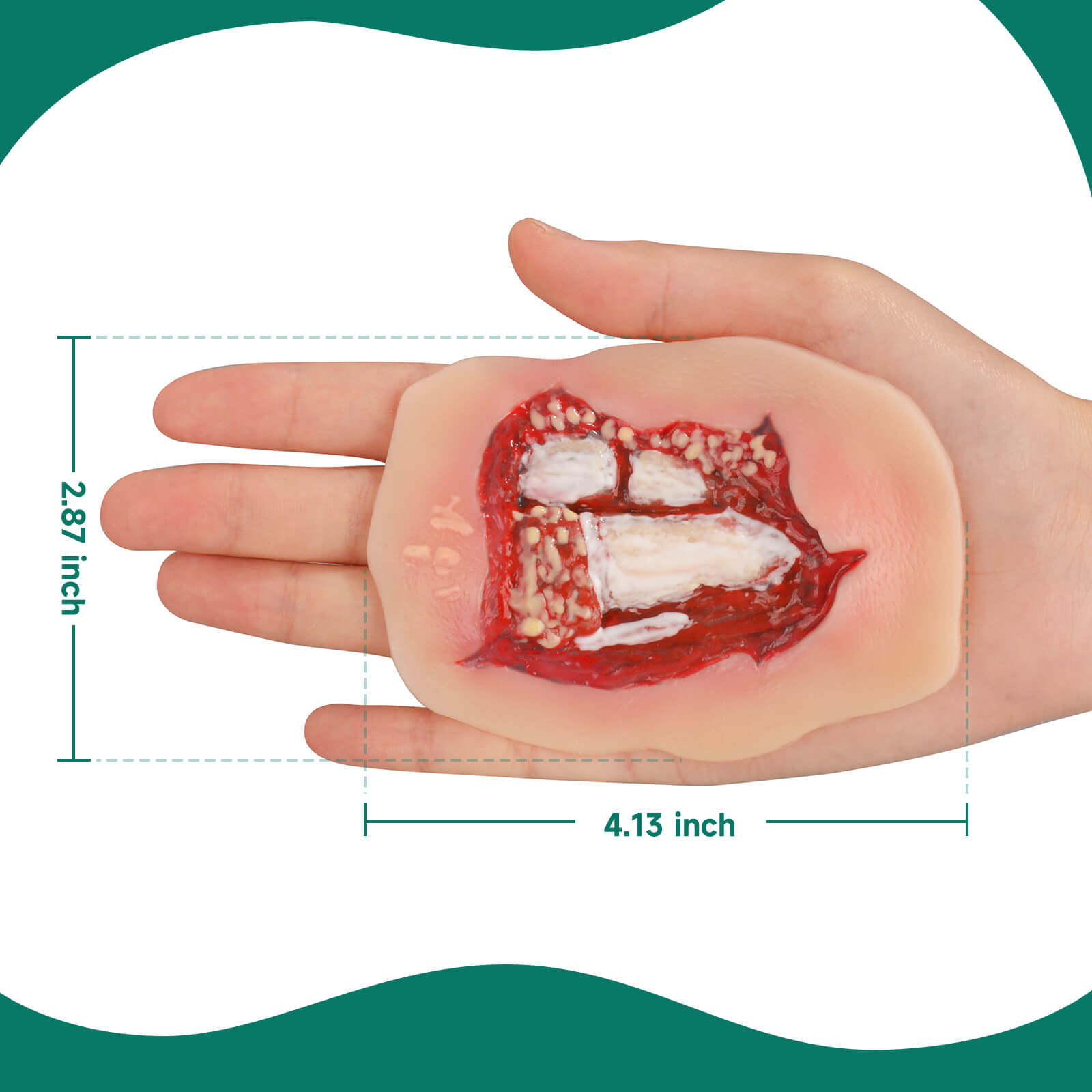 Adhesive Open Leg Fracture Wound Model