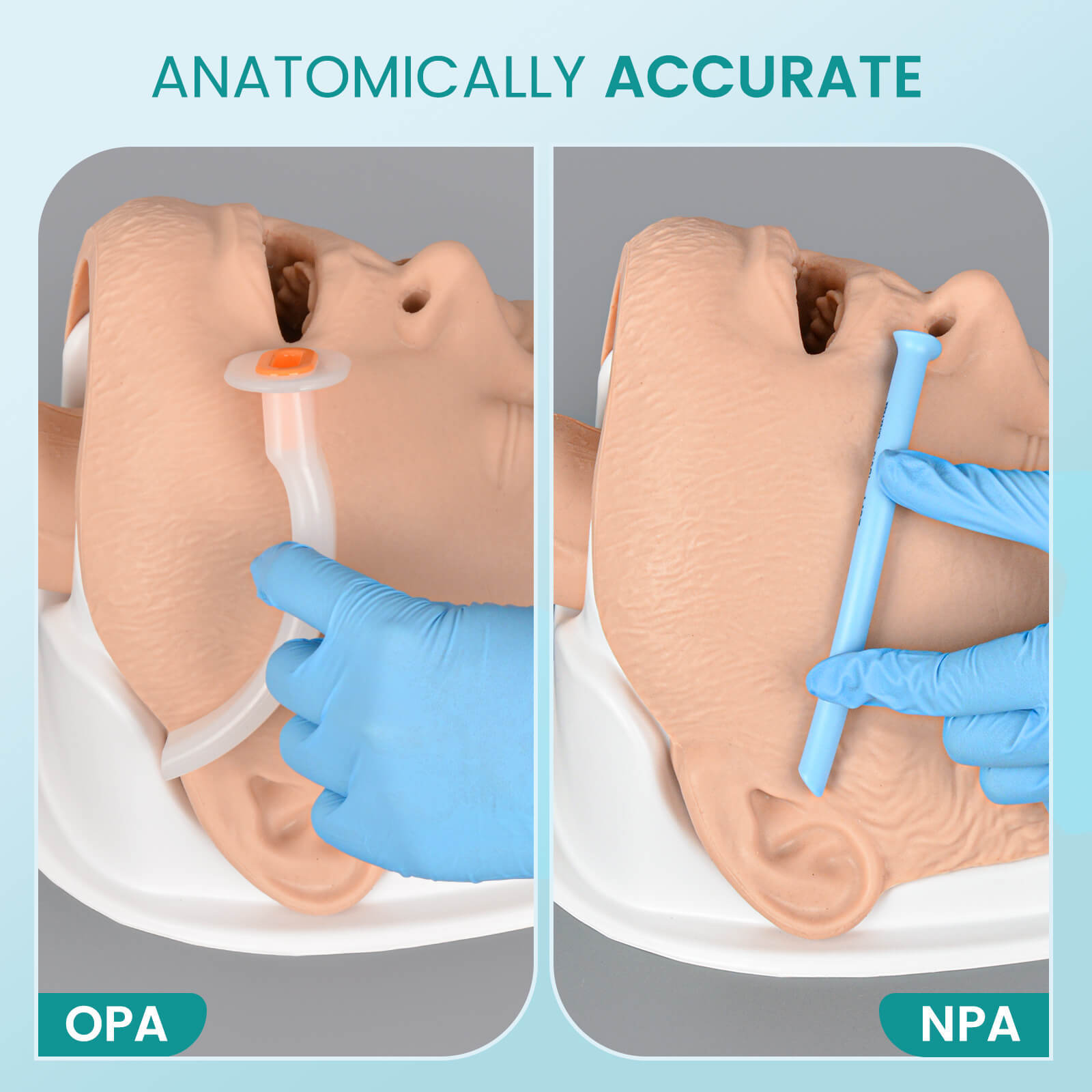 Adult Airway Management Trainer Kit