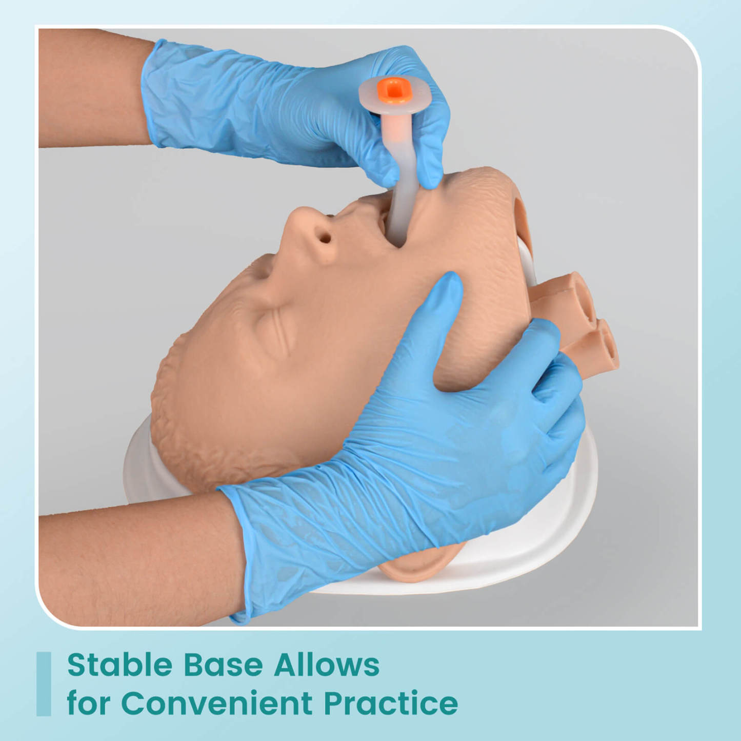 Adult Airway Management Trainer Kit