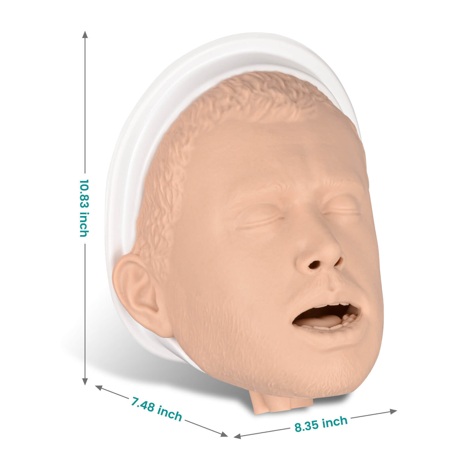 Adult Airway Management Trainer Kit