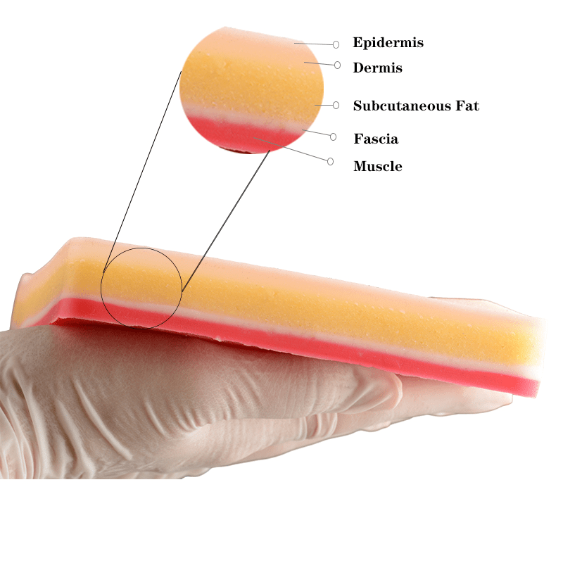 Advanced 5 Layers Suture Pad(Light) with Hook & Loop Device for Practice