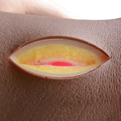 Advanced 5 Layers Suture Pad