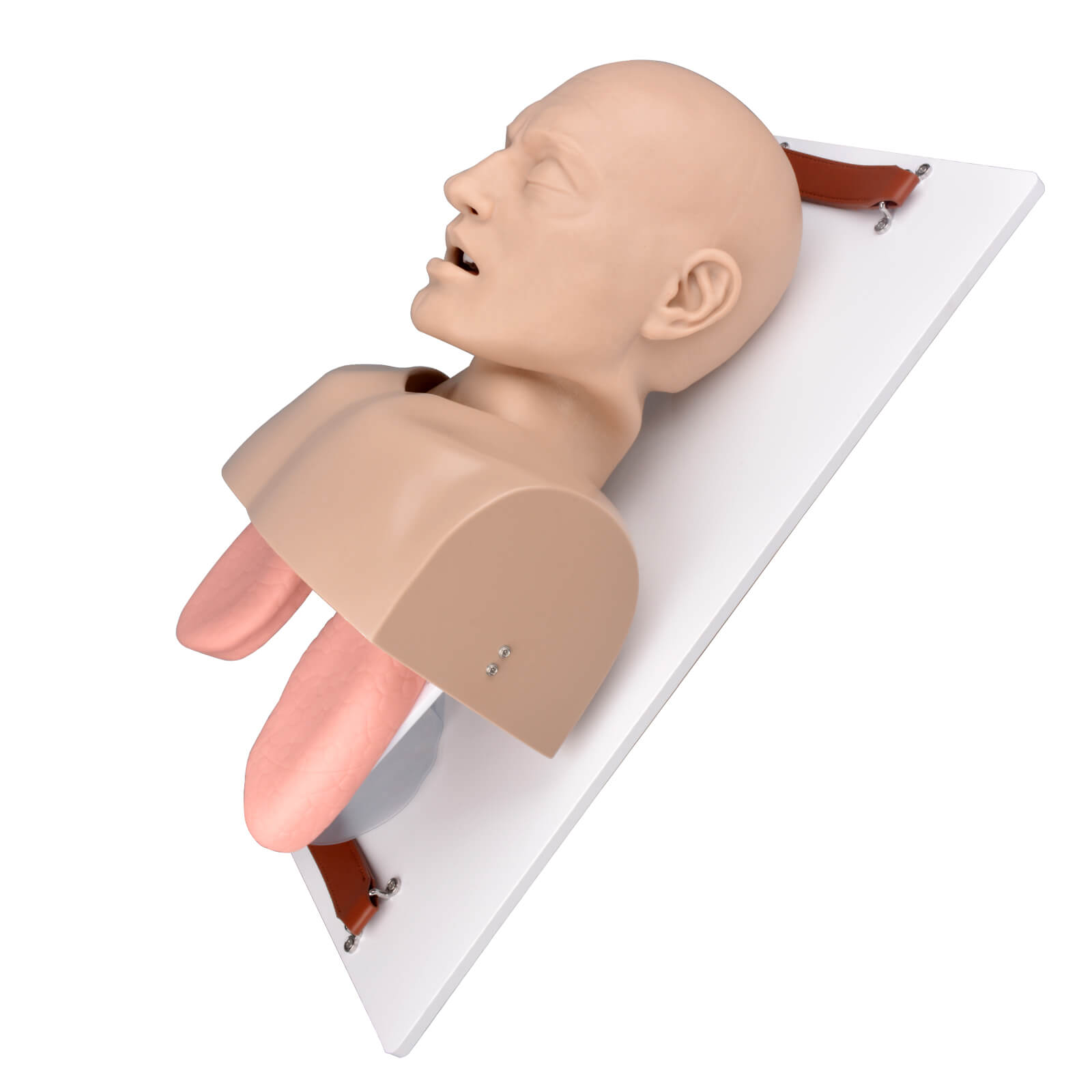 Advanced Adult Airway Management Manikin for Complete Intubation & Ventilation Training