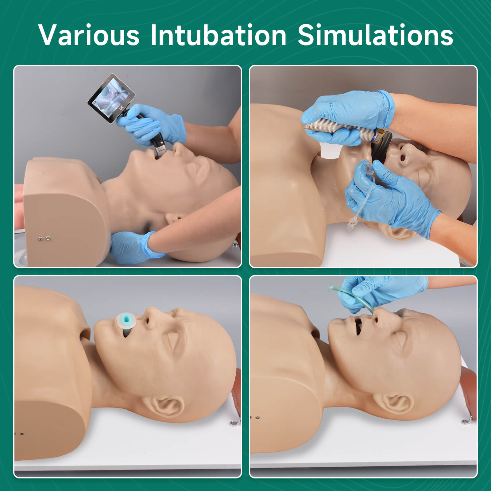 Advanced Adult Airway Management Manikin for Intubation Training