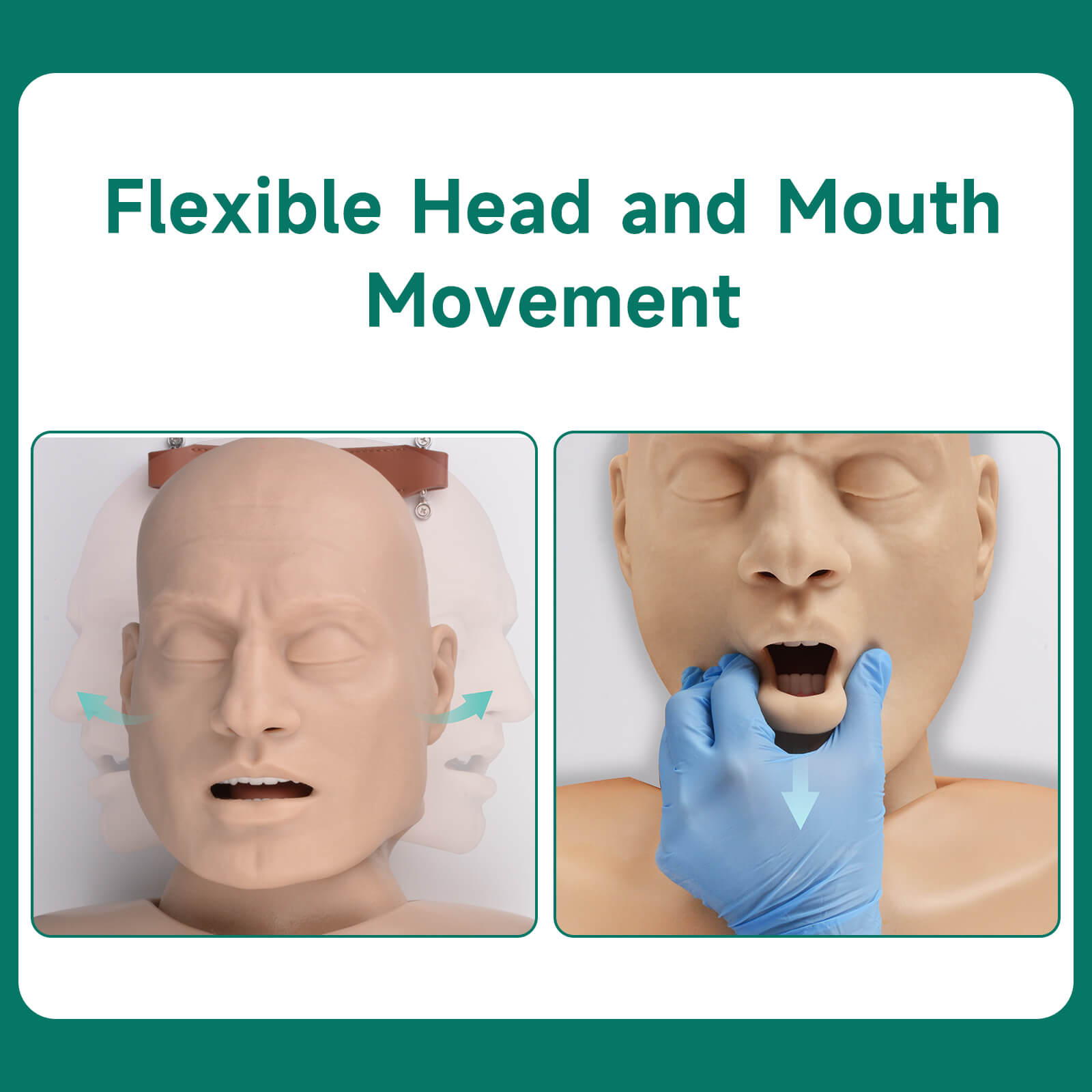 Advanced Adult Airway Management Manikin 