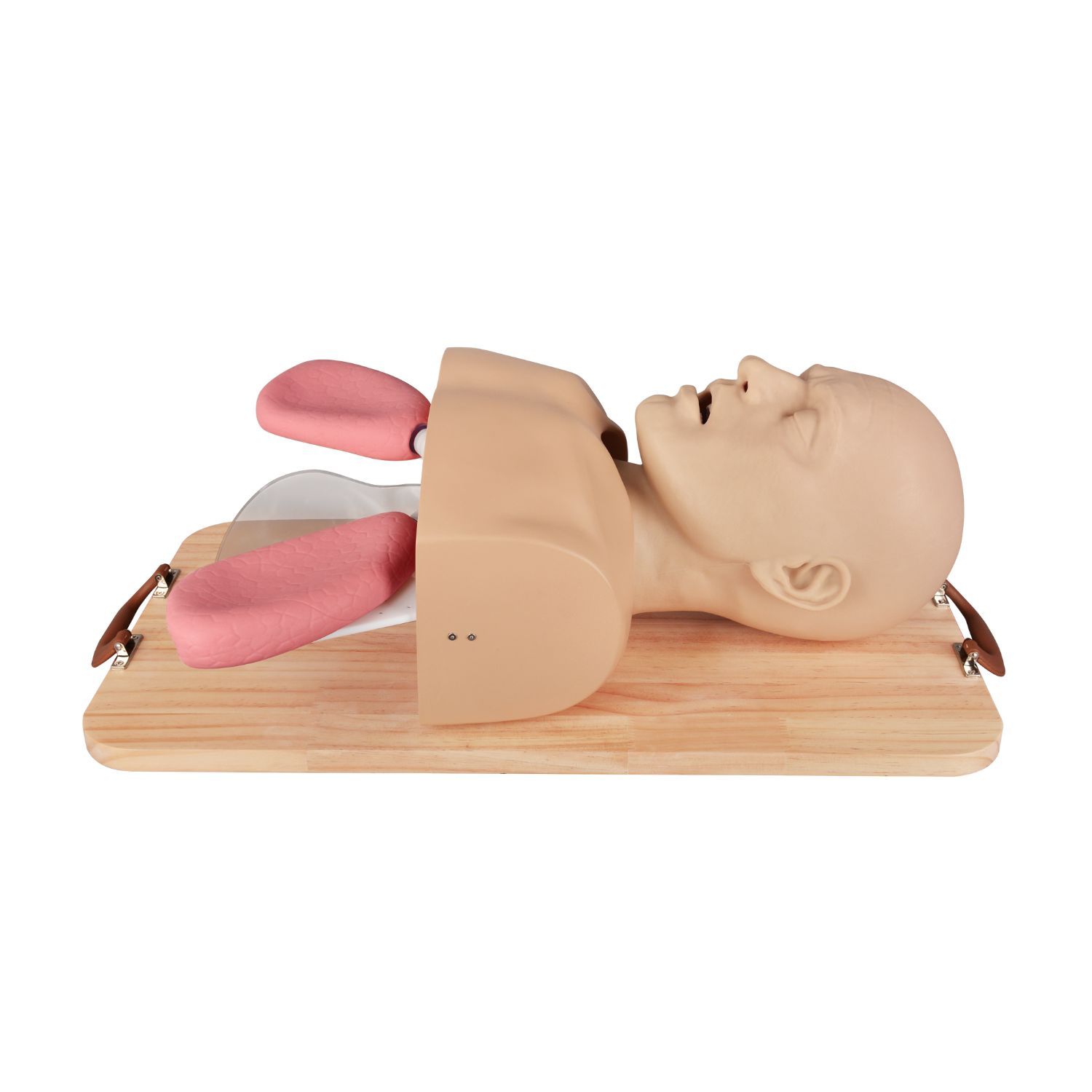 MedEduQuest Advanced Adult Intubation Manikin with Full Airway Management System