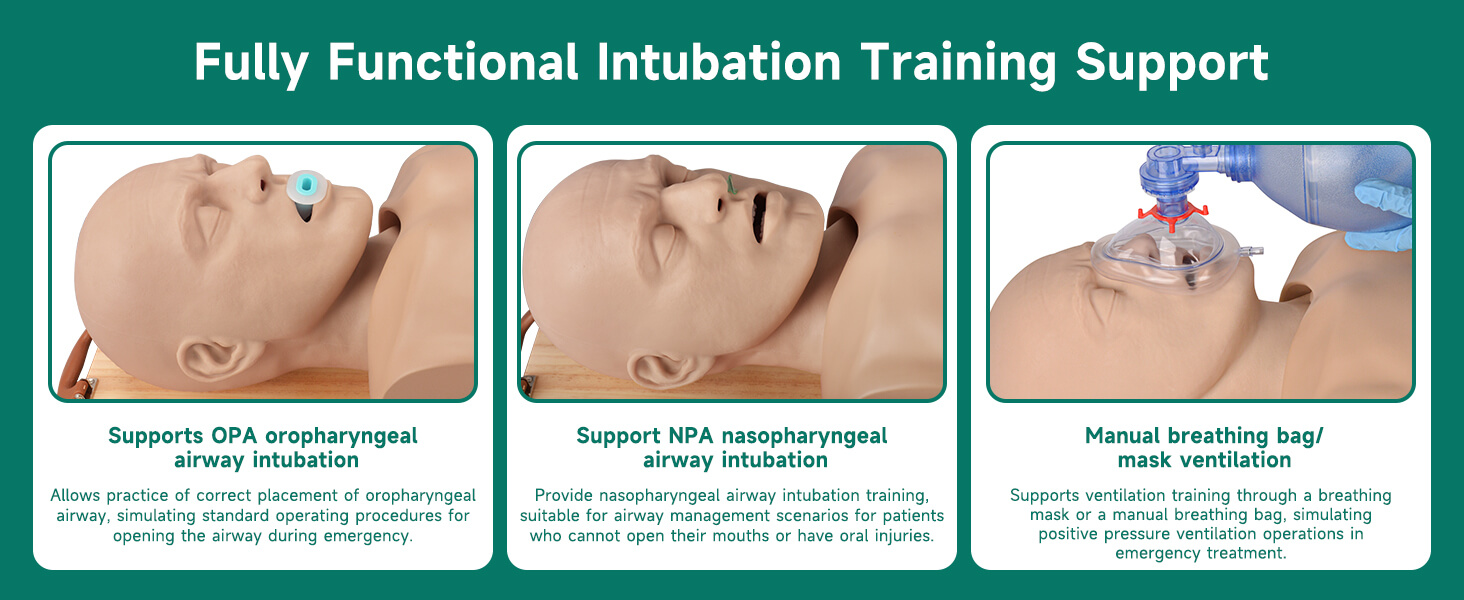 Advanced Airway Management Manikin