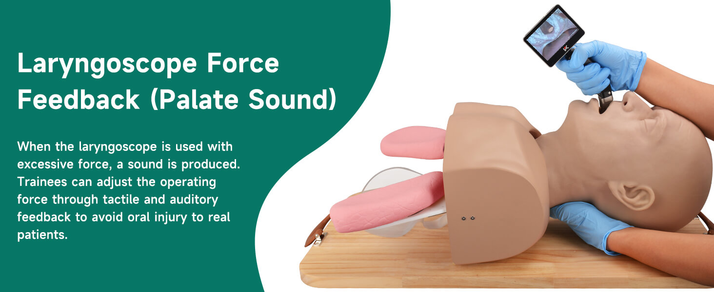 Advanced Airway Management Manikin