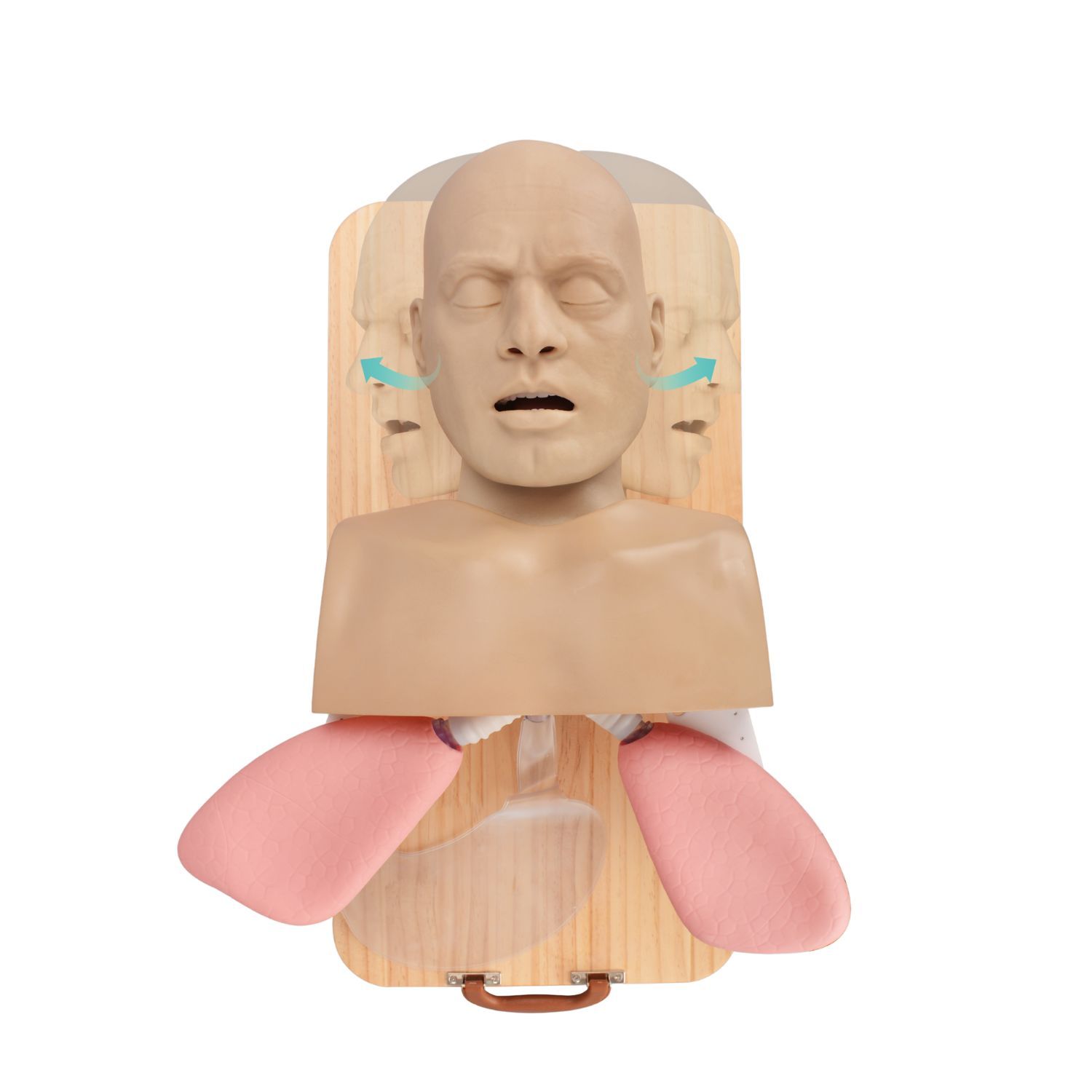 MedEduQuest Advanced Adult Intubation Manikin with Full Airway Management System