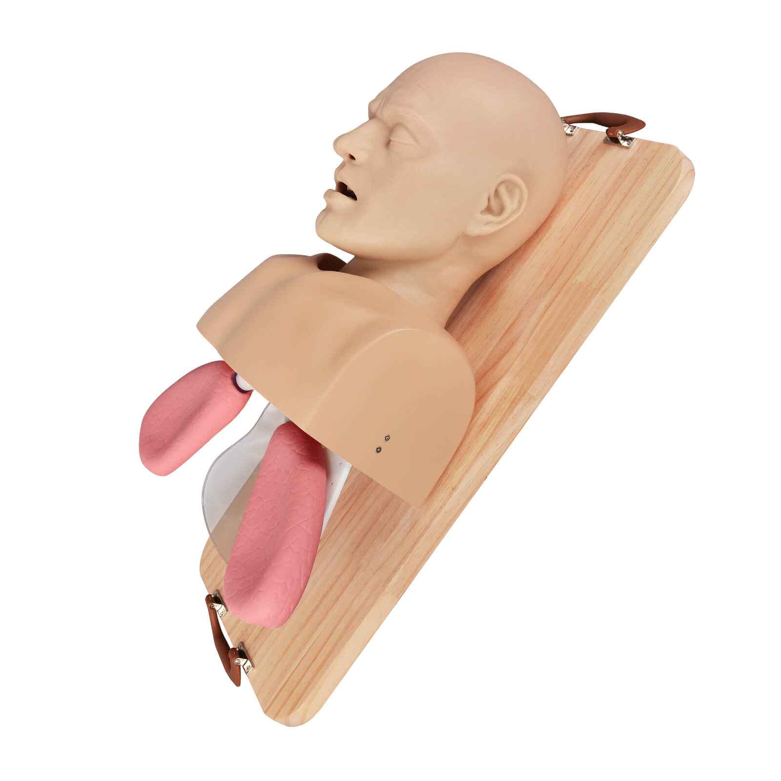 Advanced Adult Intubation Manikin with Full Airway Management System