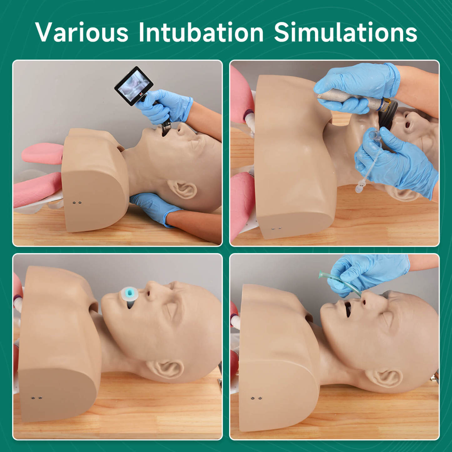 Advanced Adult Intubation Manikin with Full Airway Management System