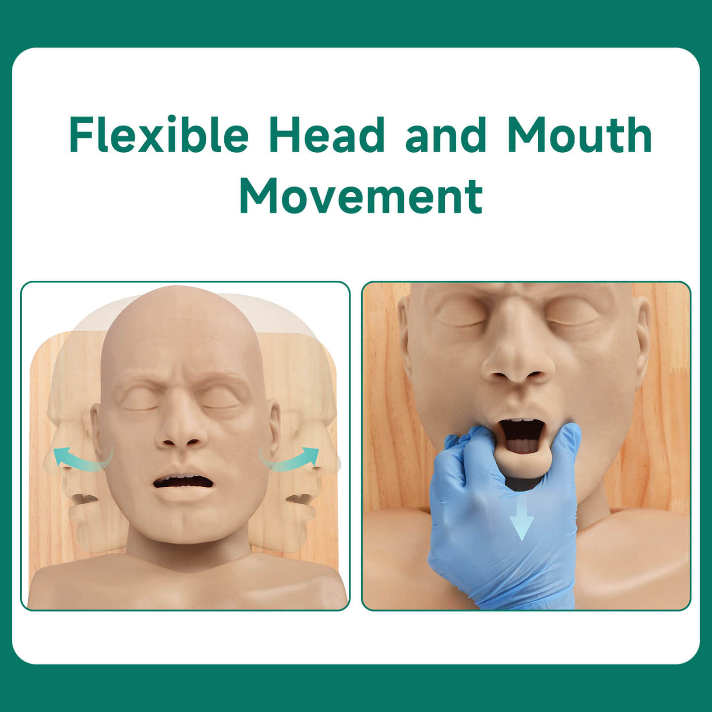 Advanced Adult Intubation Manikin with Full Airway Management System