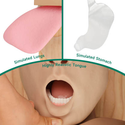 Advanced Adult Intubation Manikin with Full Airway Management System