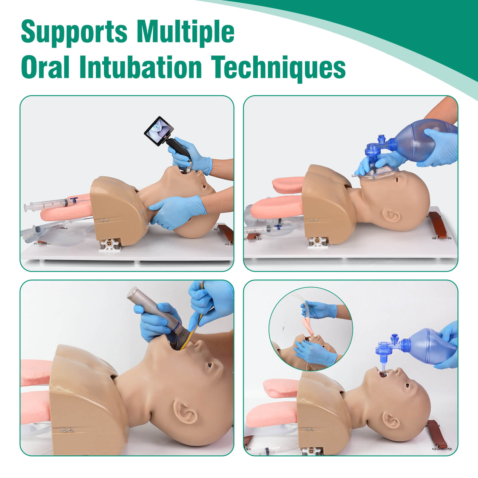 Advanced Adult Airway Management Manikin for Intubation & Ventilation Training