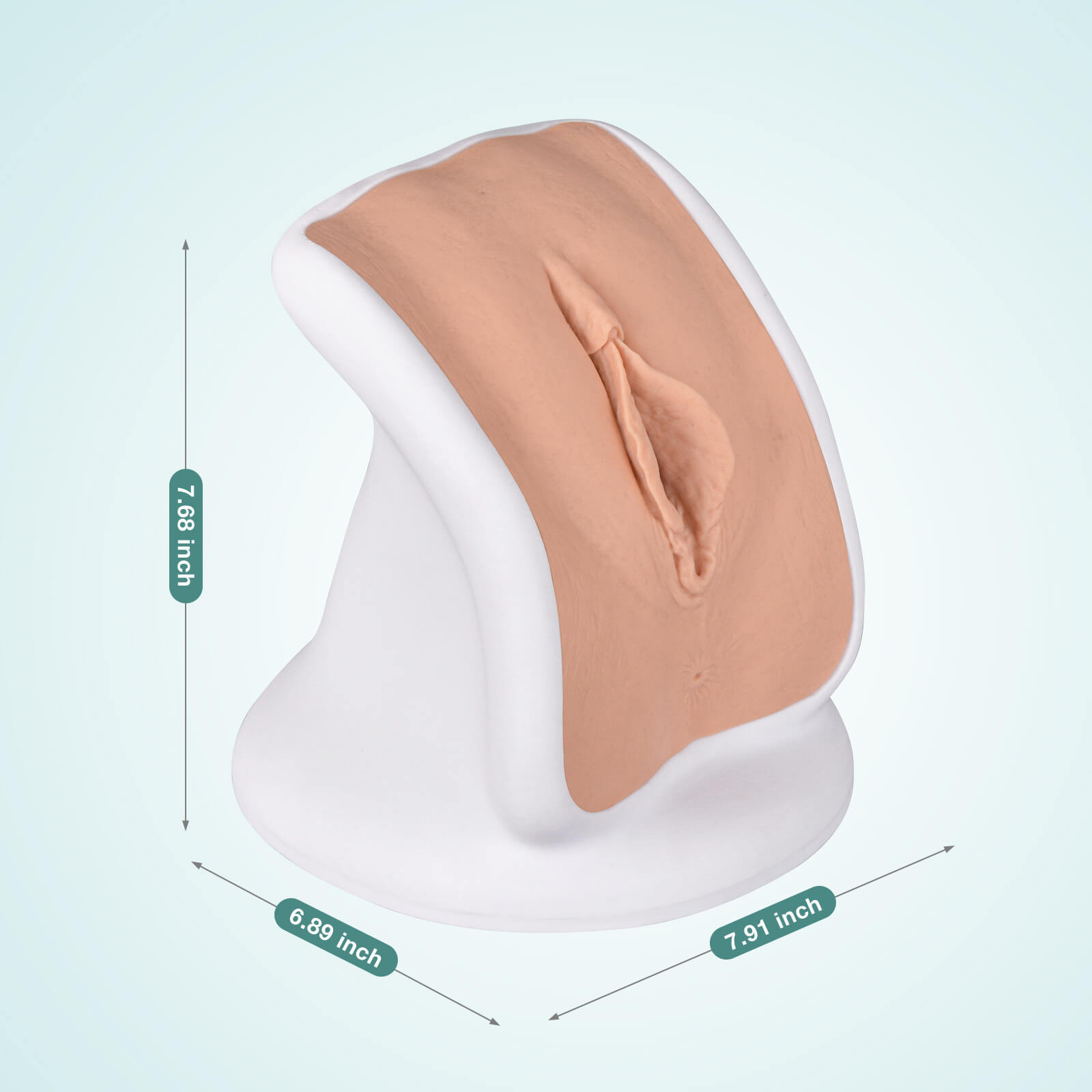 MedEduQuest Advanced Gynecological Examination Training Model